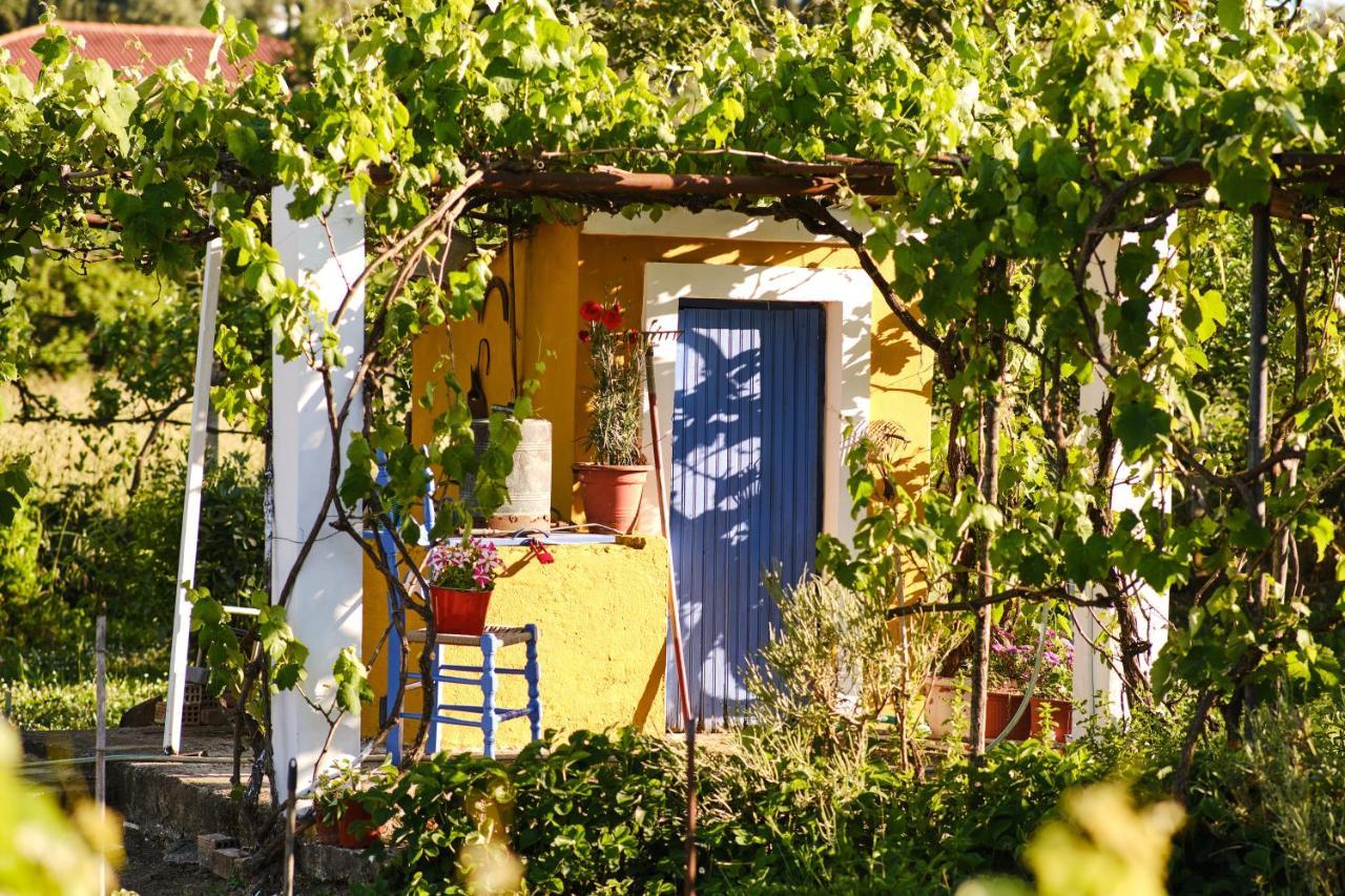 Villa Doreta Рода Екстер'єр фото